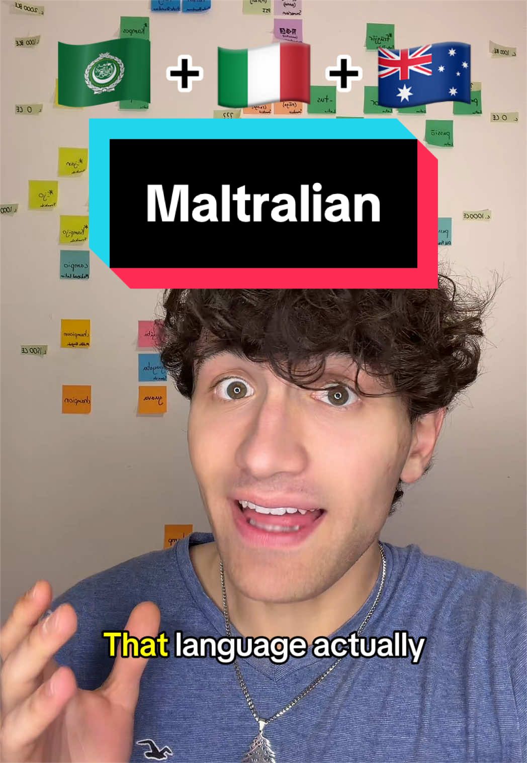 @human1011