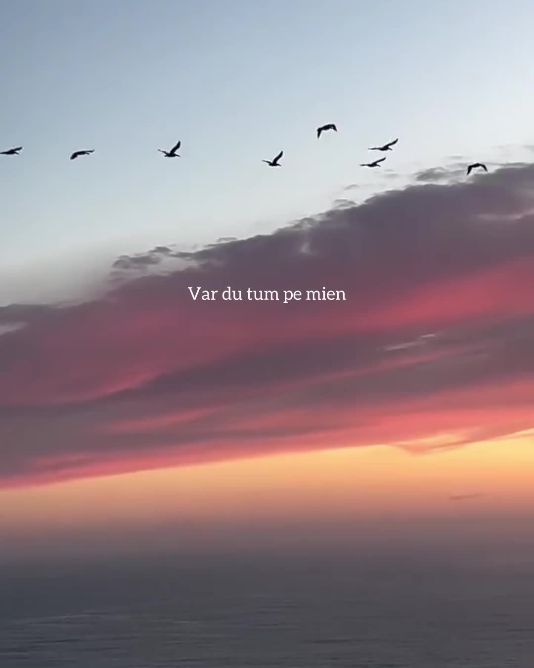 @احمد ؟