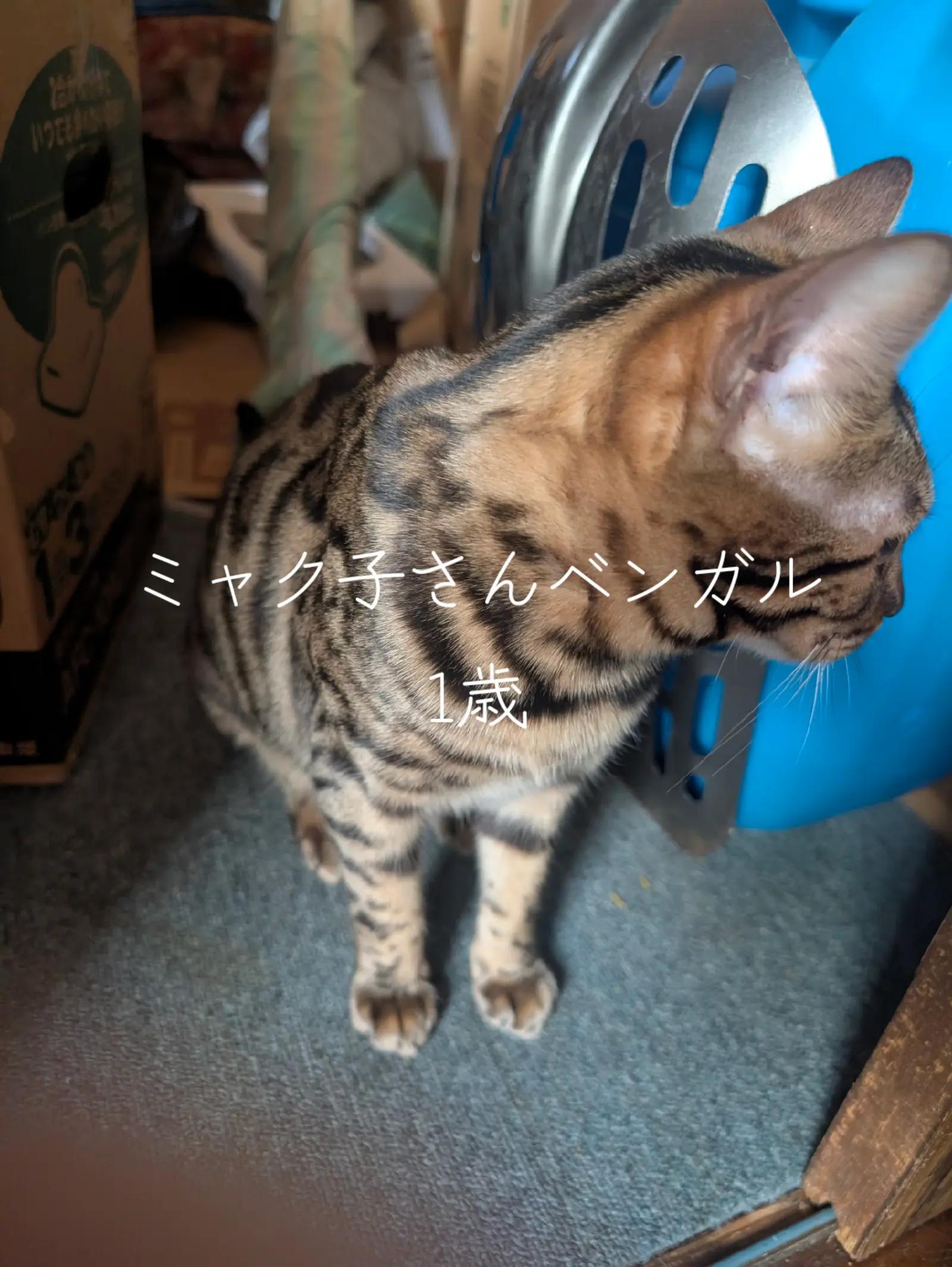 @睡眠プロデュース