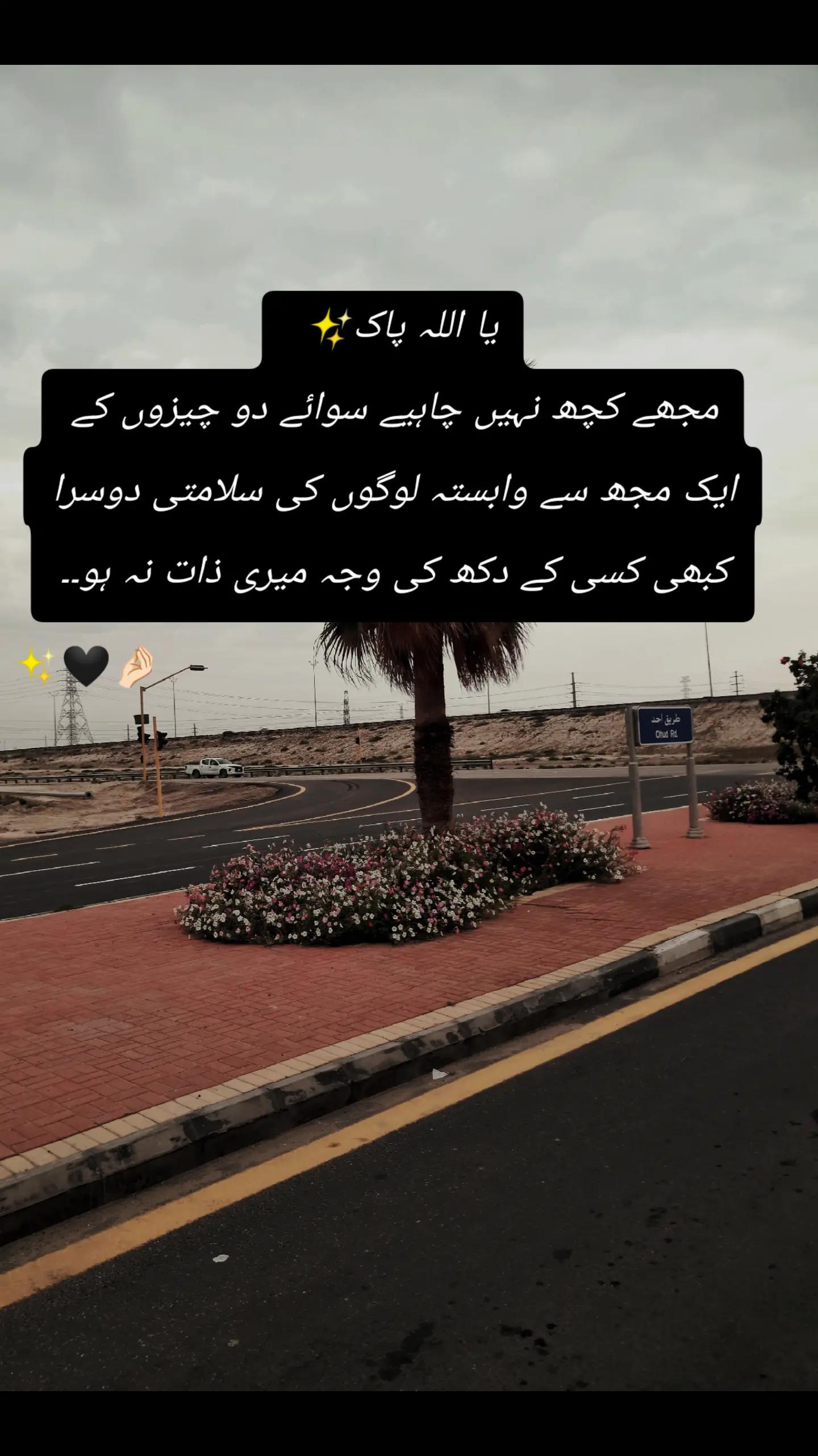 @Minahil_writes510