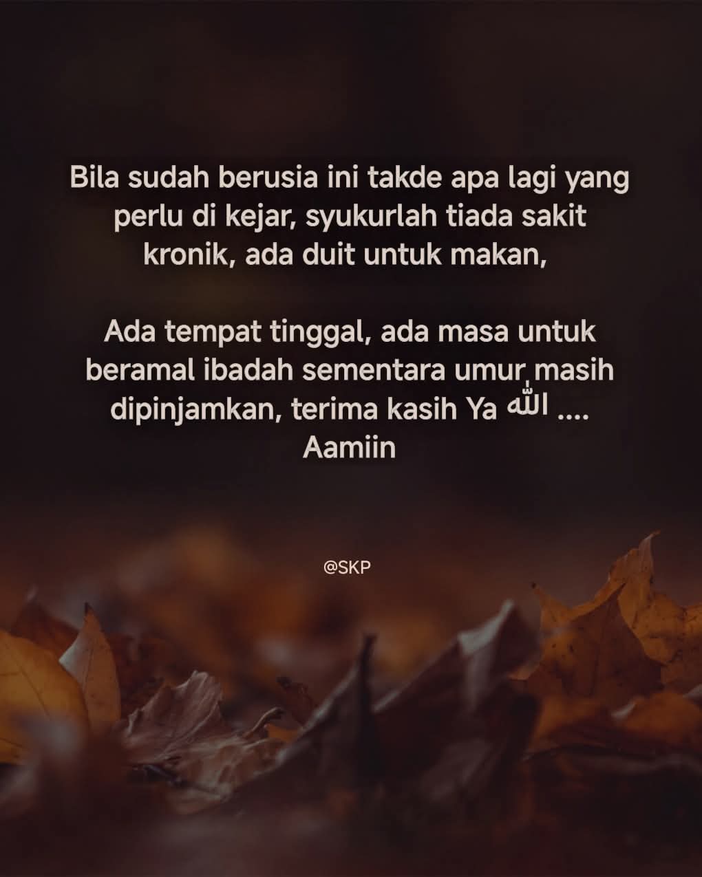 @rashid ain
