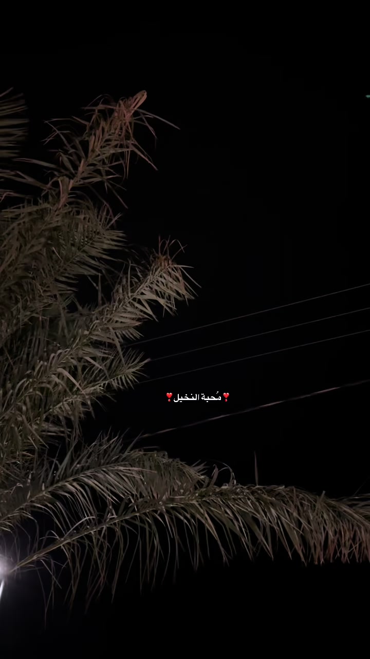@مُـيم/القحطاني ❤️
