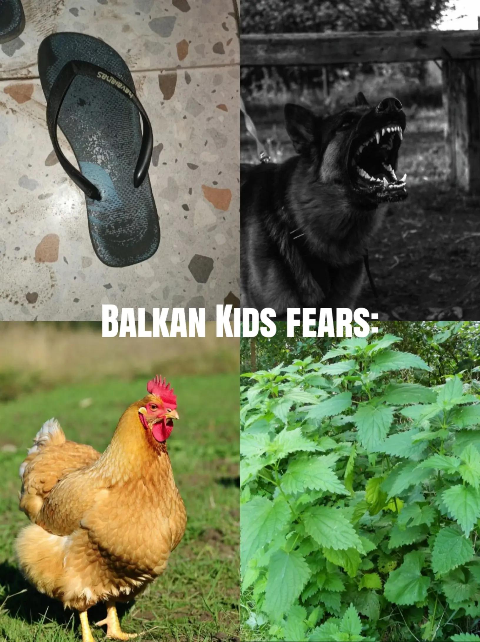@𝓡𝓲𝓸𝓷𝓪ꨄ