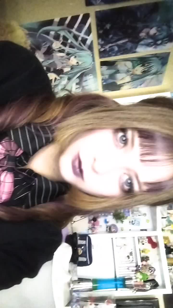 @(=^･ｪ･^=)