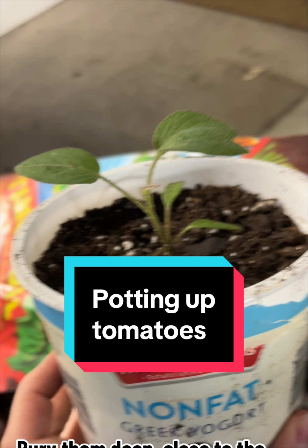 @🌱 Grow with Jo