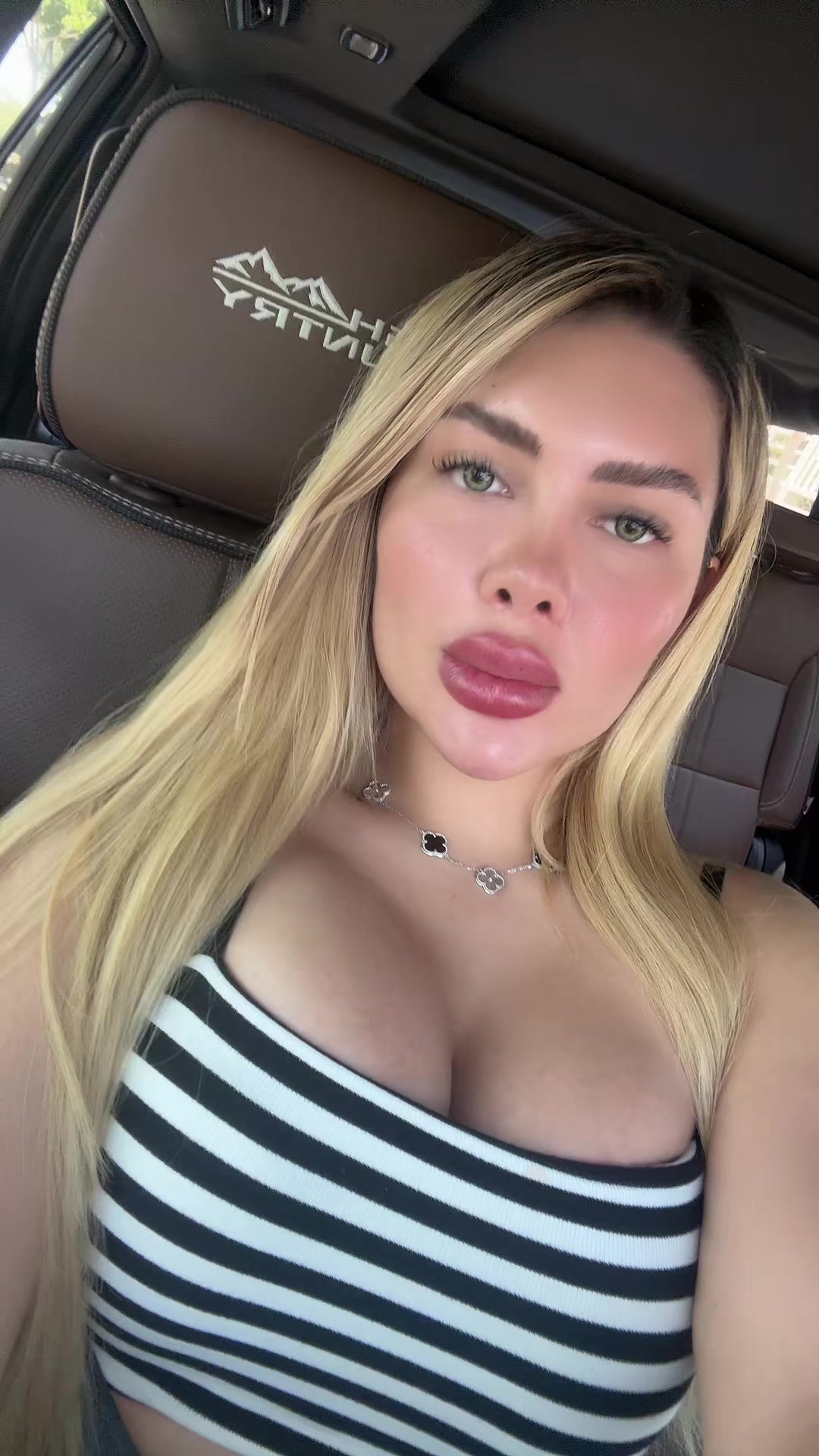 @dollche2020