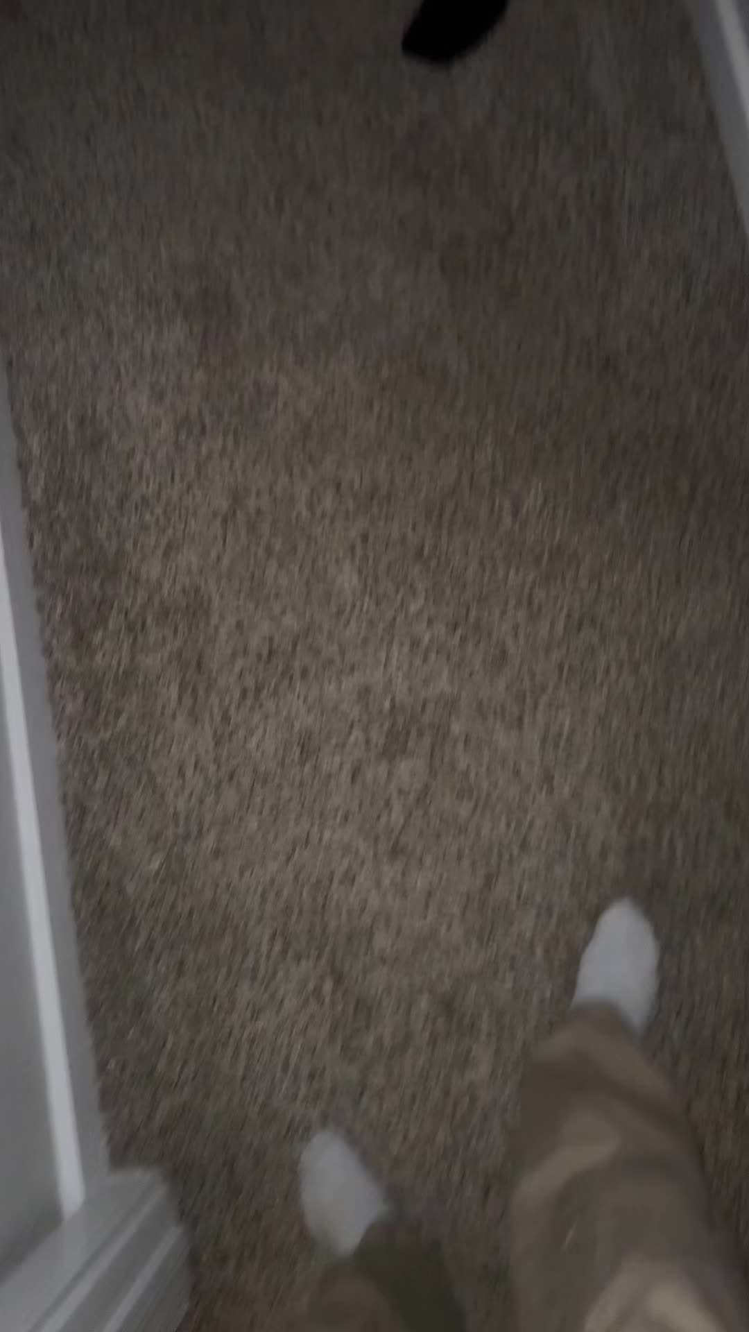 @imthereisonlyone