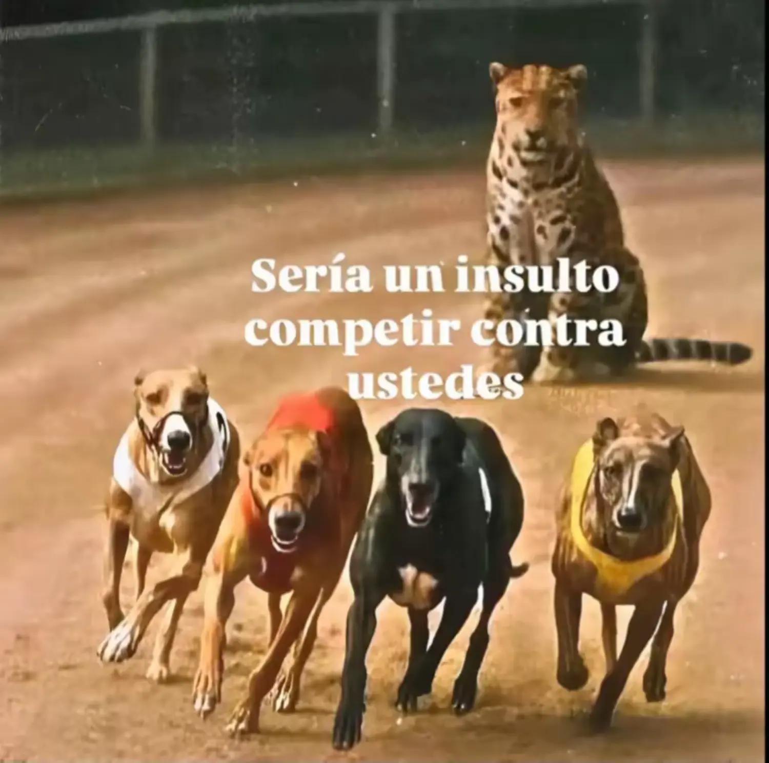 @𝖌𝖊𝖗𝖊𝖝𝖝.𝟕𝟕𝟕🚂