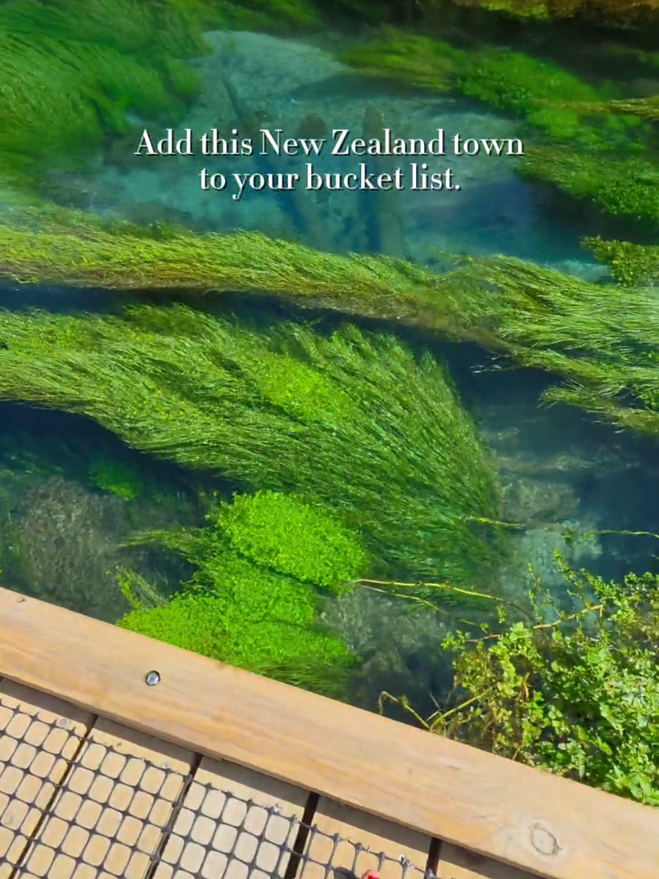 @Amy &bull; Travel Australia & NZ