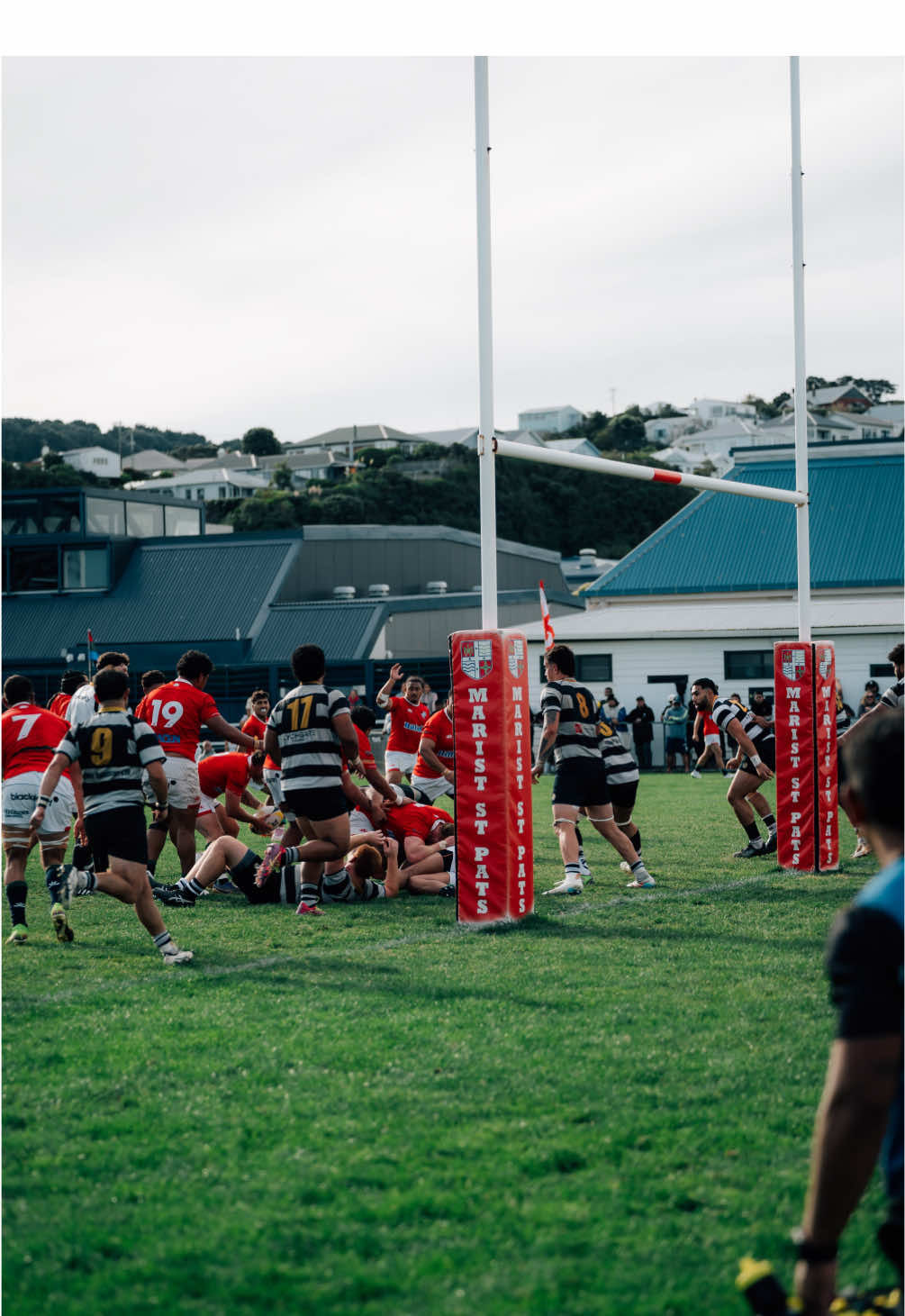 @msprugby
