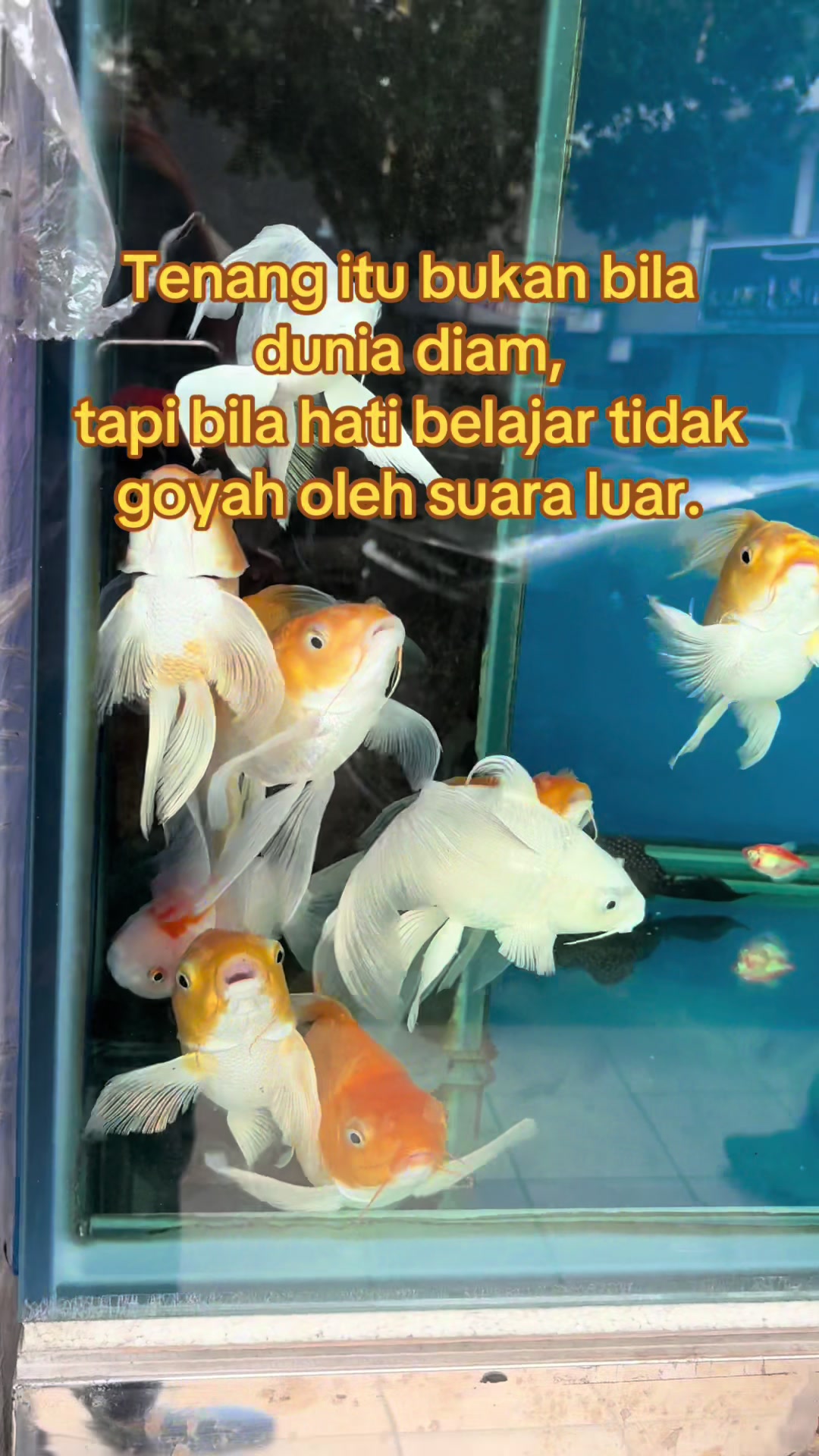 @Julinah Suning