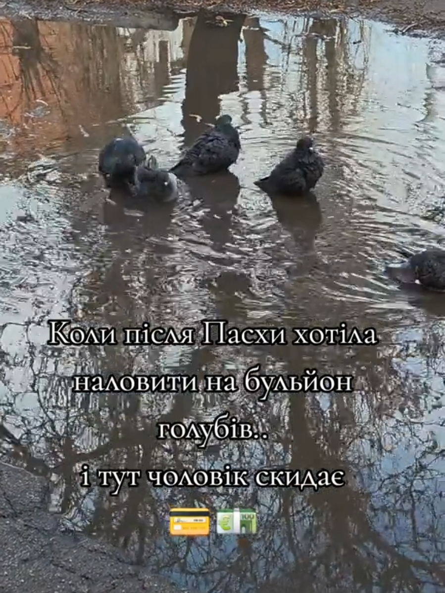 @Юльчик🇺🇦