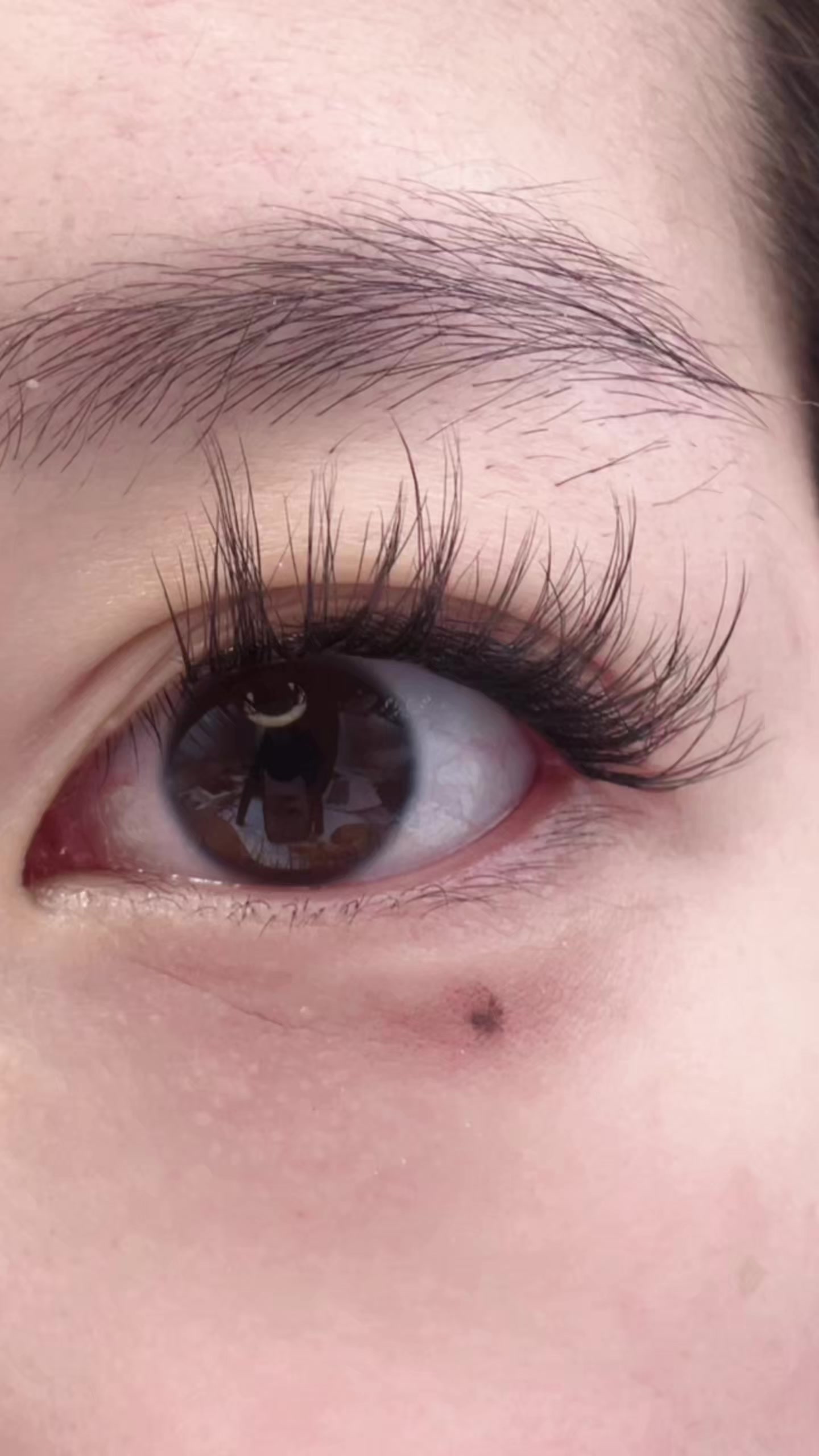 @lashgod_mother