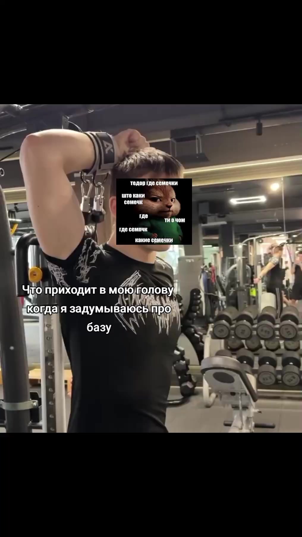 @тгк: suchkaromki