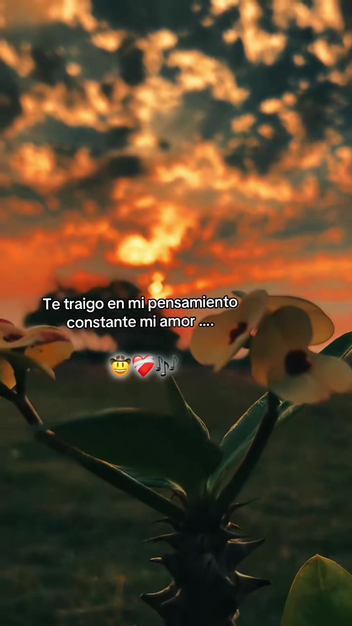 @Griselda🐧🪷🍂