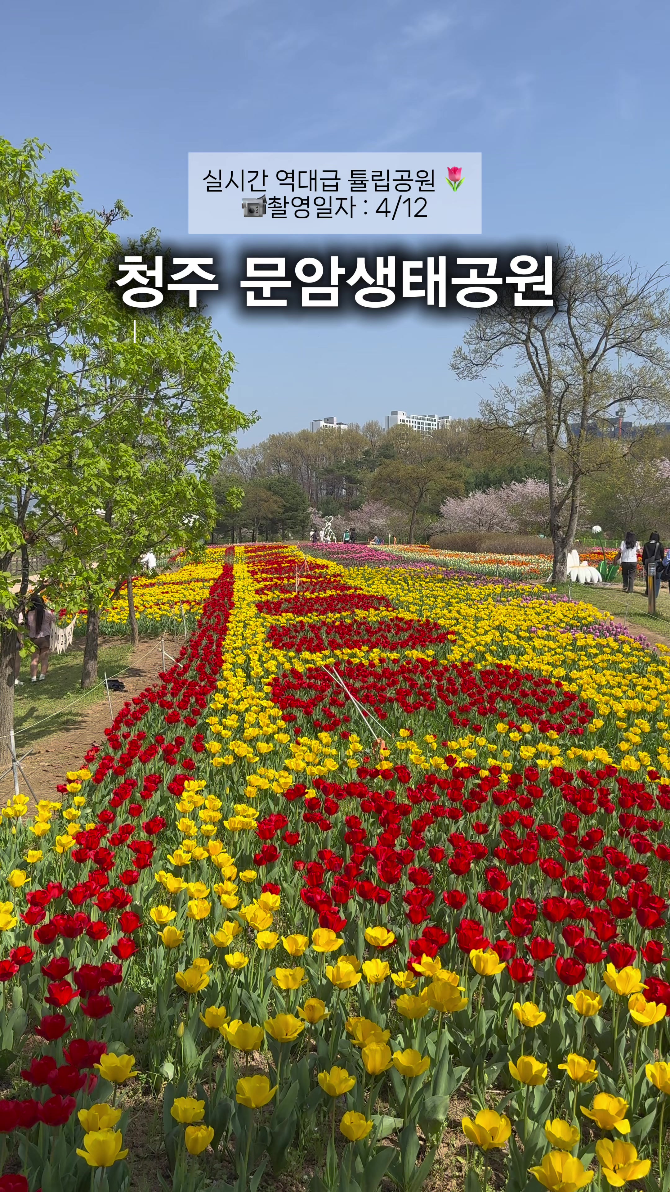 @맛행가