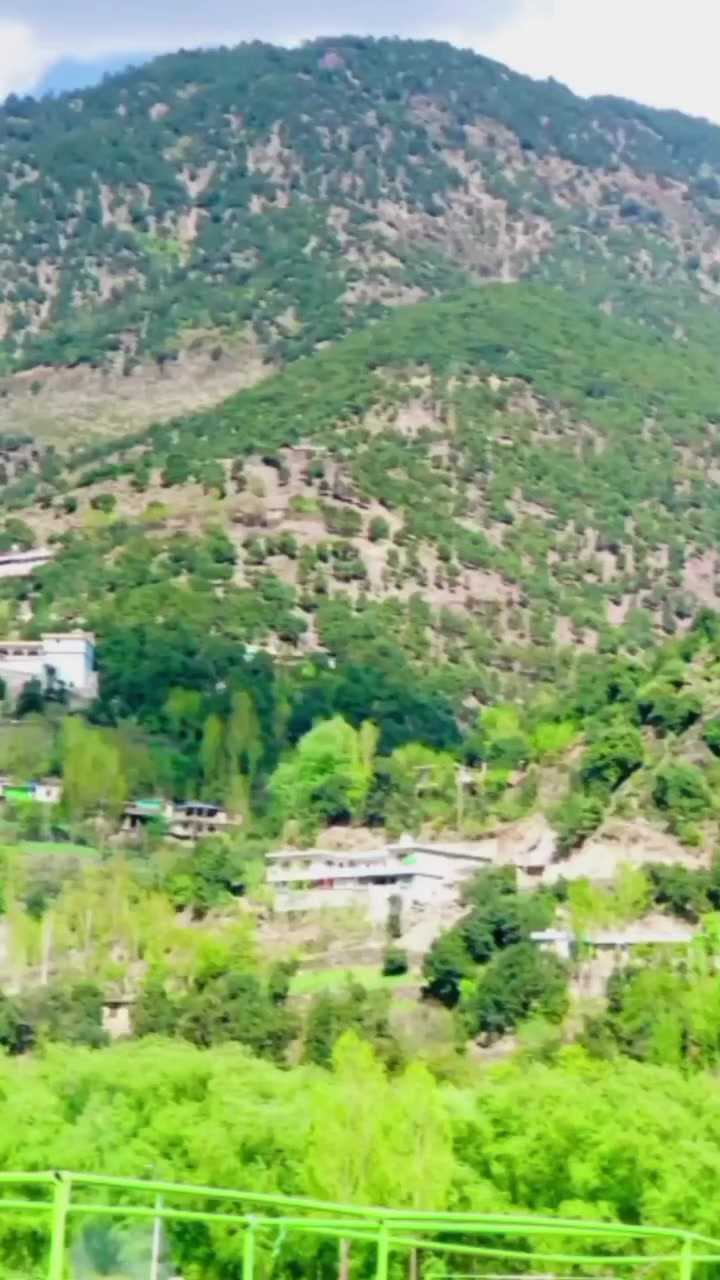 @awaisrashidtajak