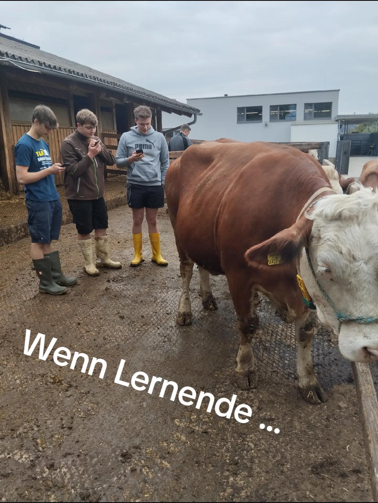 @LFS Hatzendorf