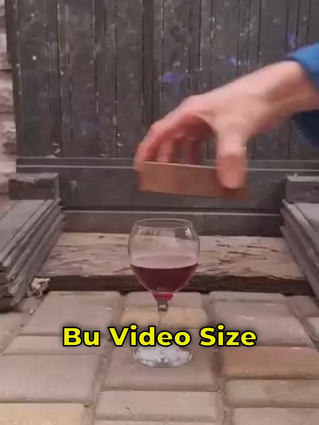 @Dahi Şort