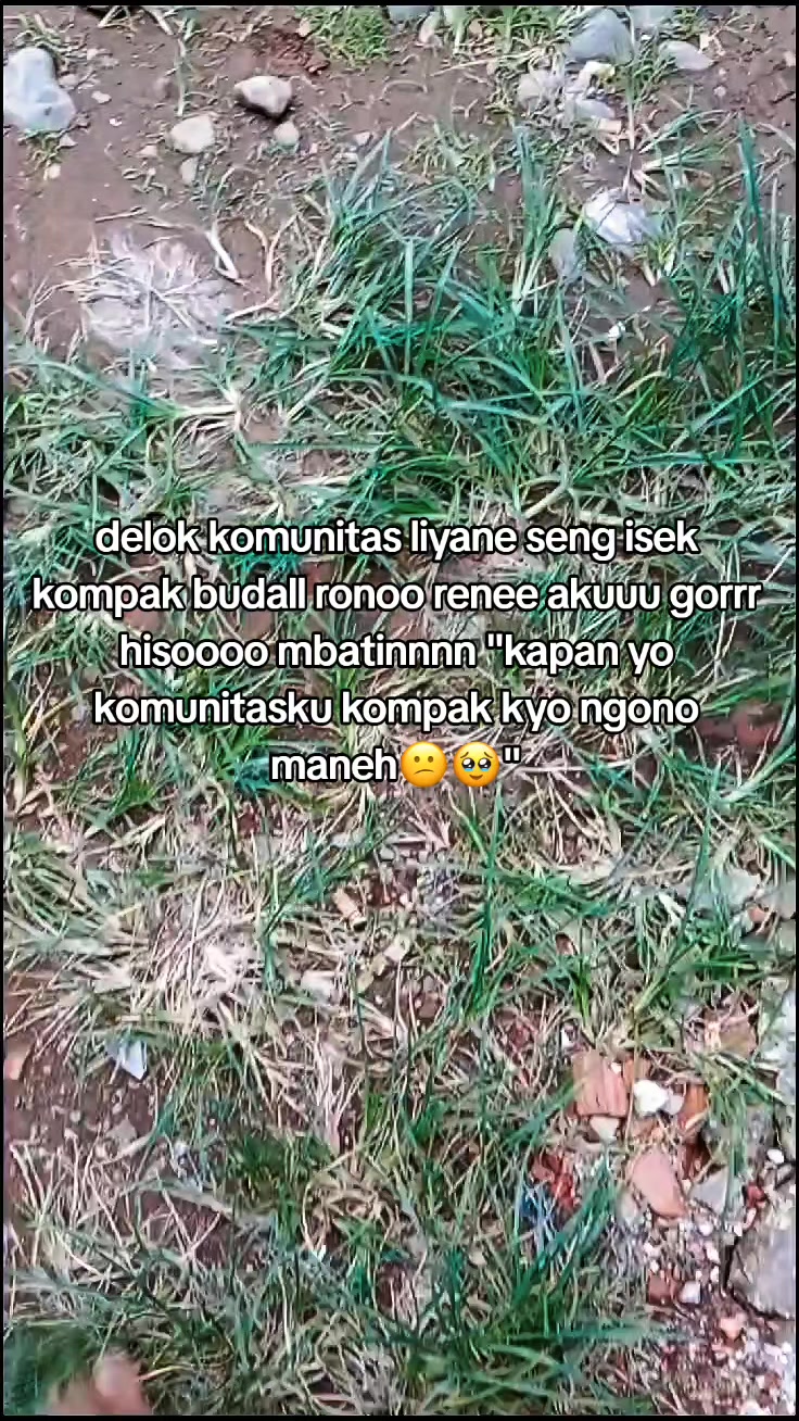 @𝐑𝐁𝐒𝐒 𝐂𝐎𝐌𝐔𝐍𝐈𝐓𝐘 🍁
