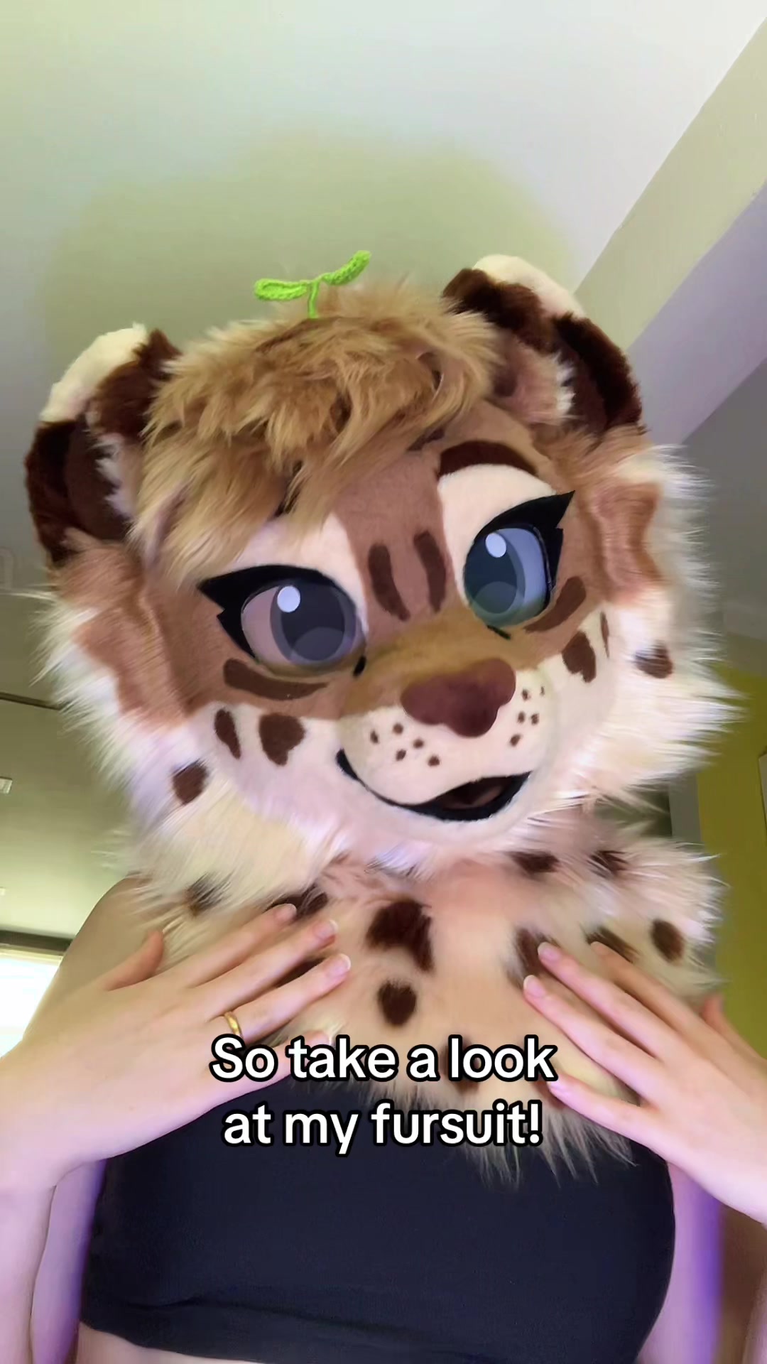 @Amyquel