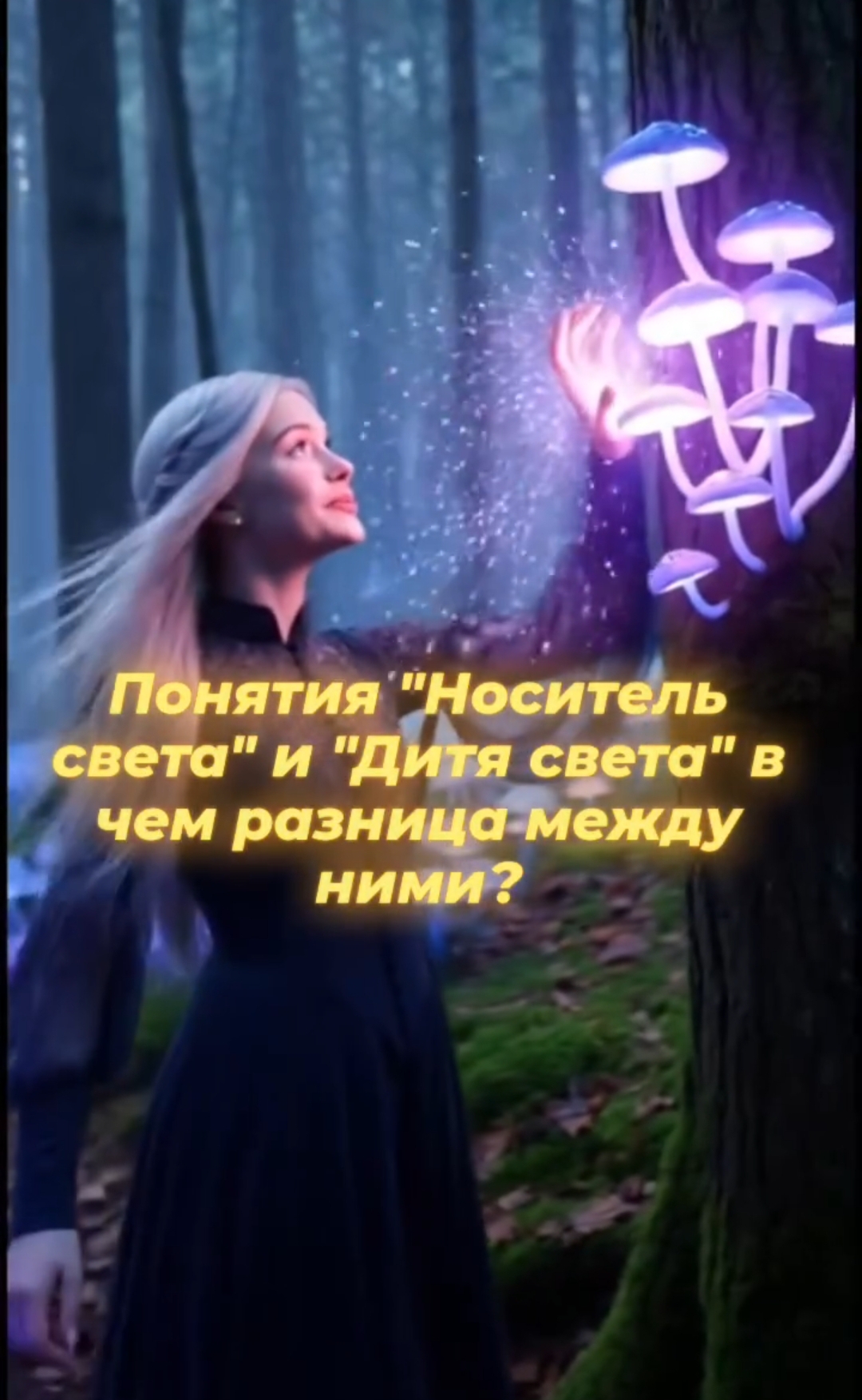 @Elena Aryann