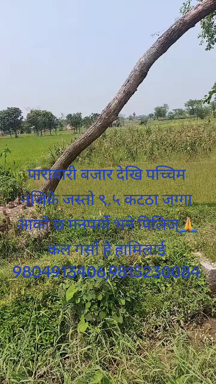 @Prince_sanwa_official