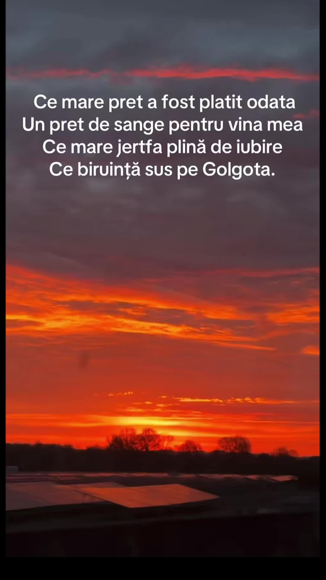 @🌸🕊️𝓡𝓮𝓫𝓮𝒄𝒂🕊️🌸