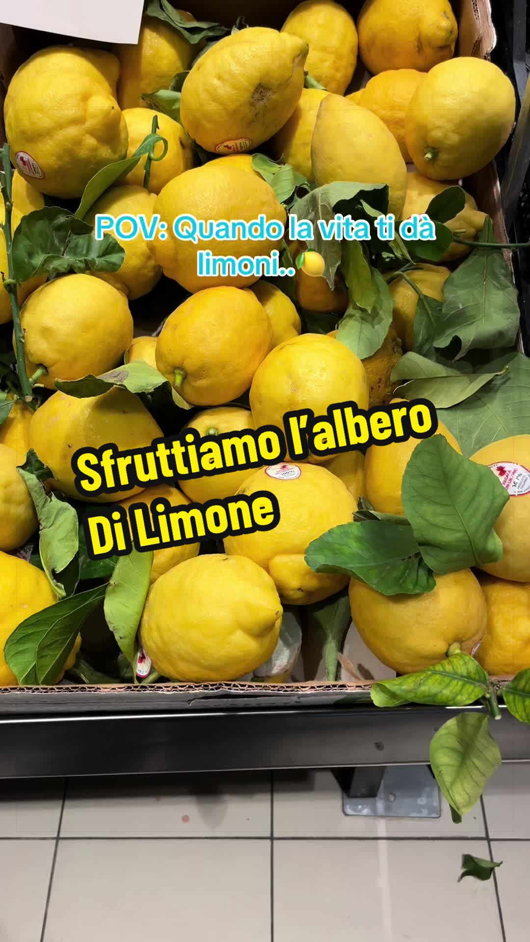 @Alessandro Cuomo ♌️