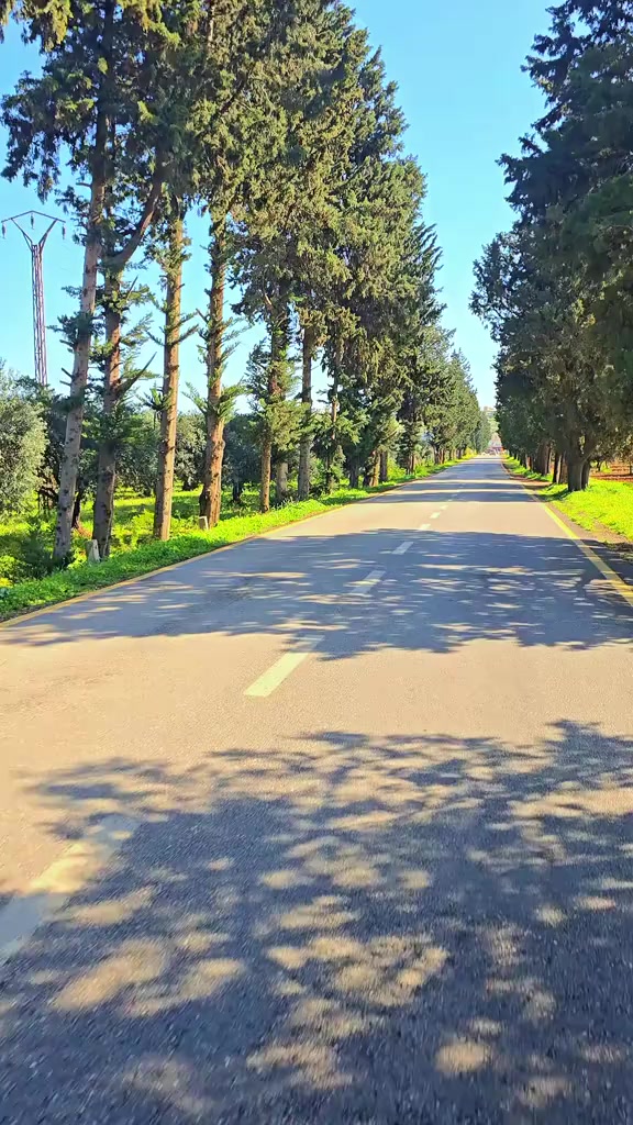 @𓆩𝟏𝟐:𝟎𝟎𓆪