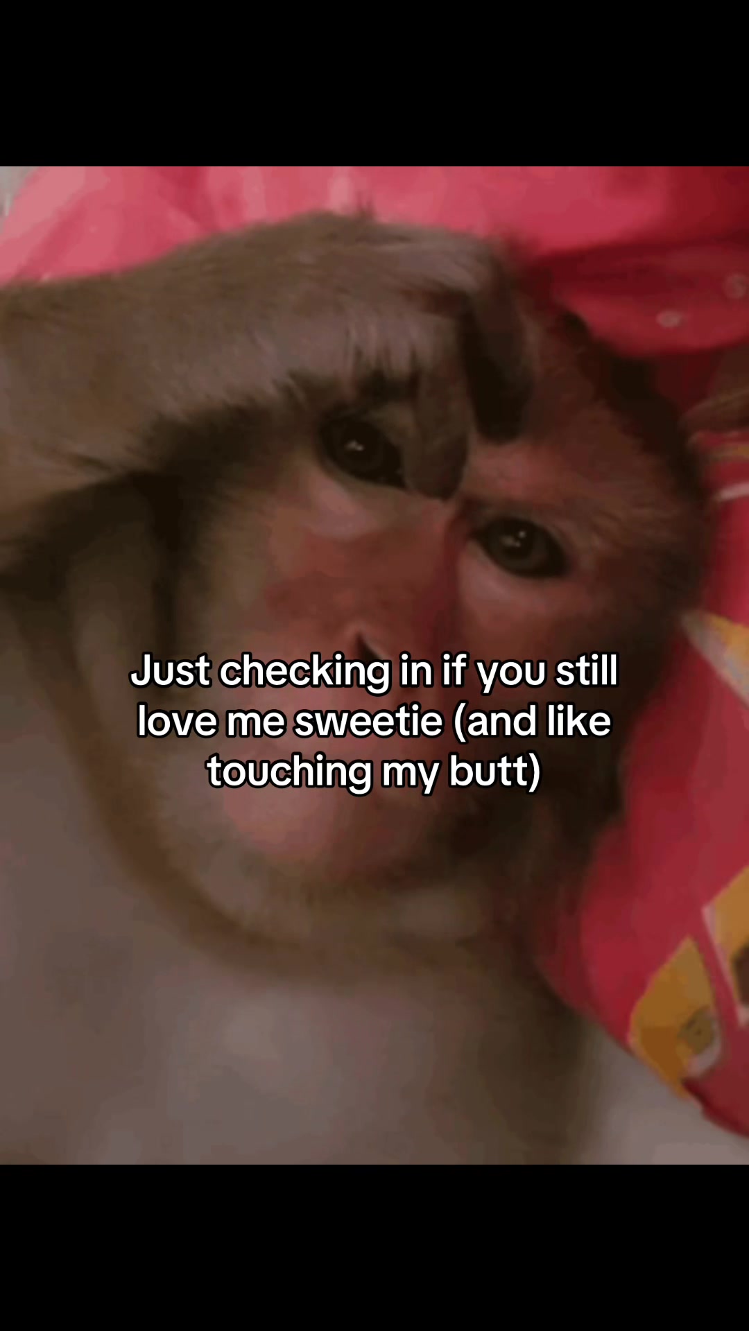 @Rocky