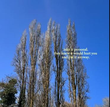 @Erica🌻