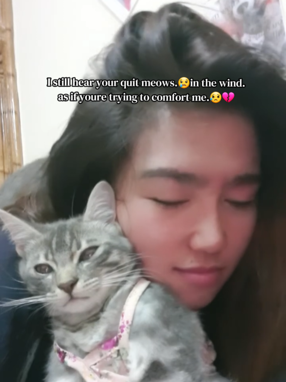 @🐾Feeding Stray Cats Daily🐈&zwj;⬛