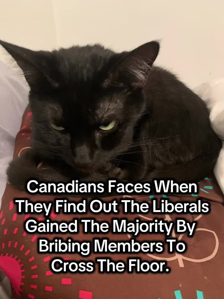 @mamastephbackedupcanada