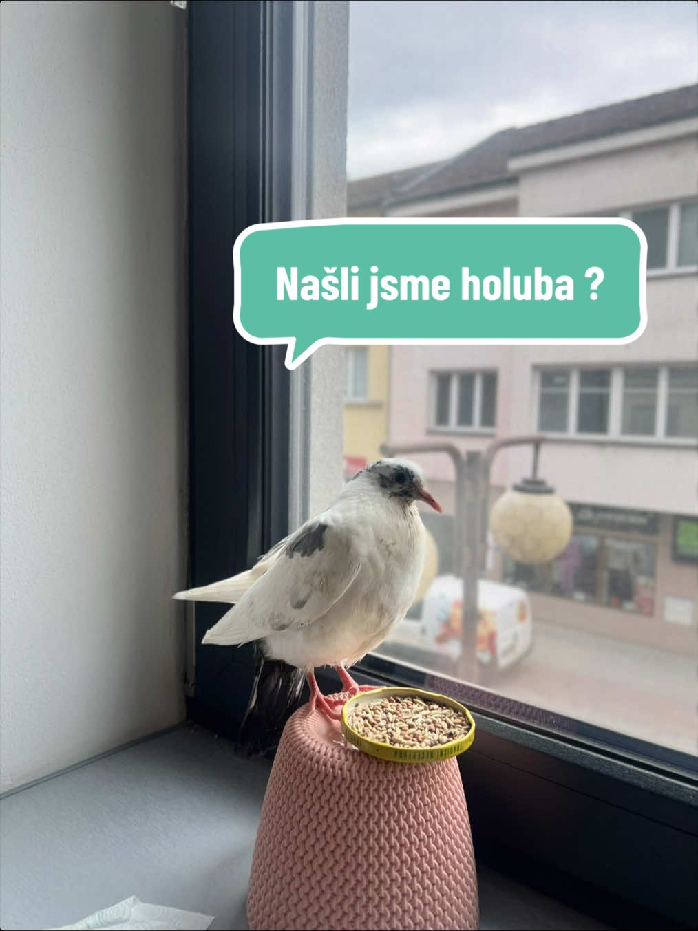 @terezie_batlova