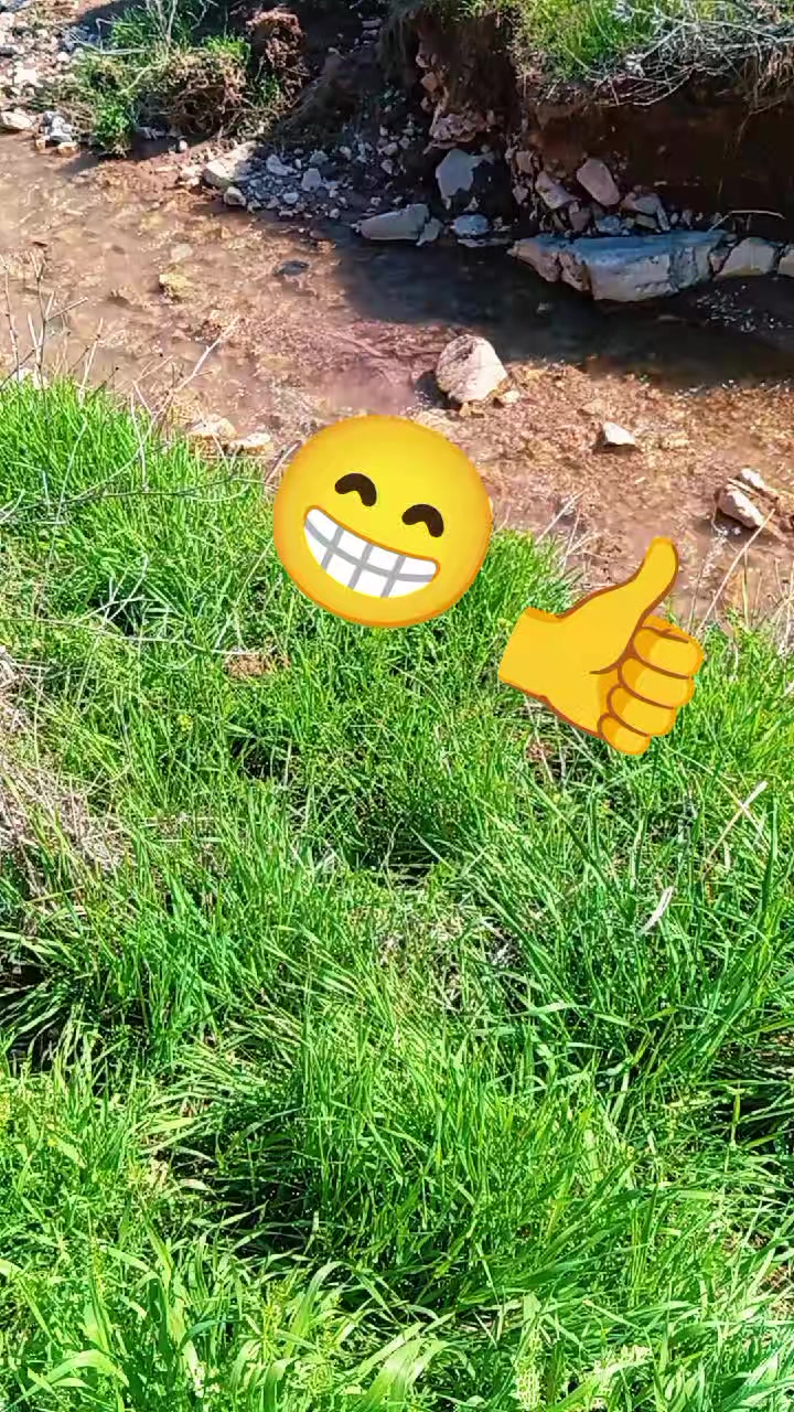 @🐝&Ouml;Z BEYDİLLİ - ARICILIK🍯