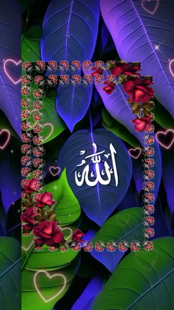@🦋 Fatimah 🌻