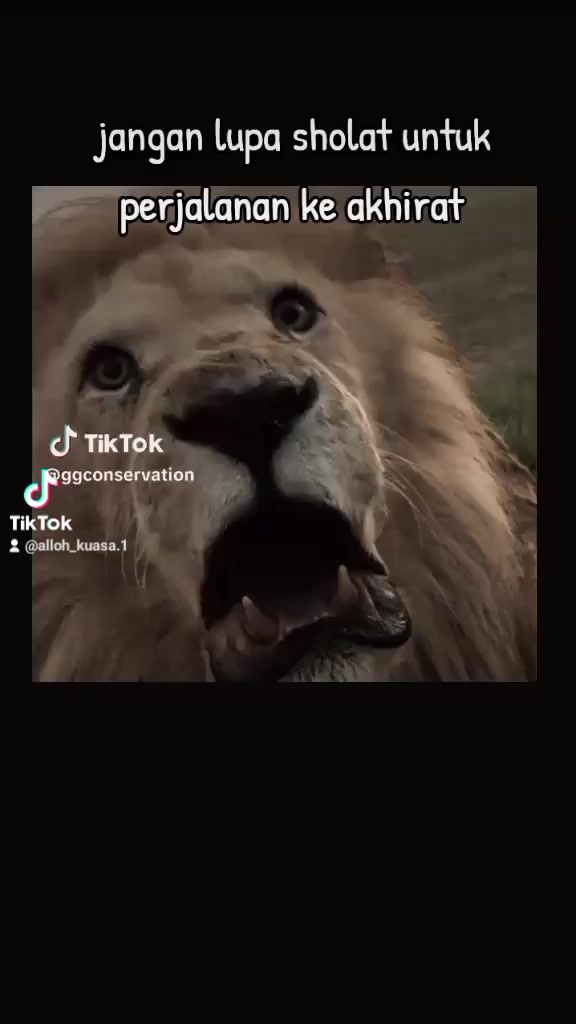 @Subhanallah