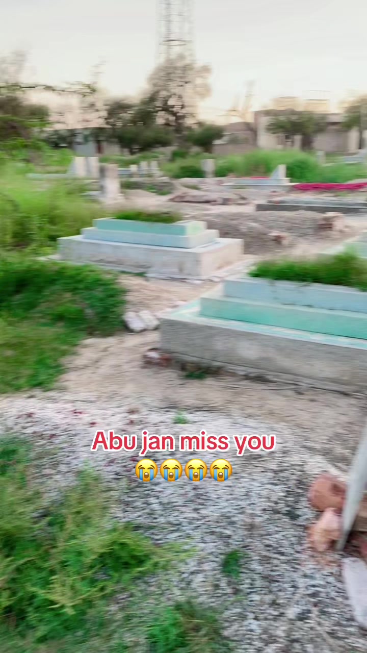 @Saifibadshah333