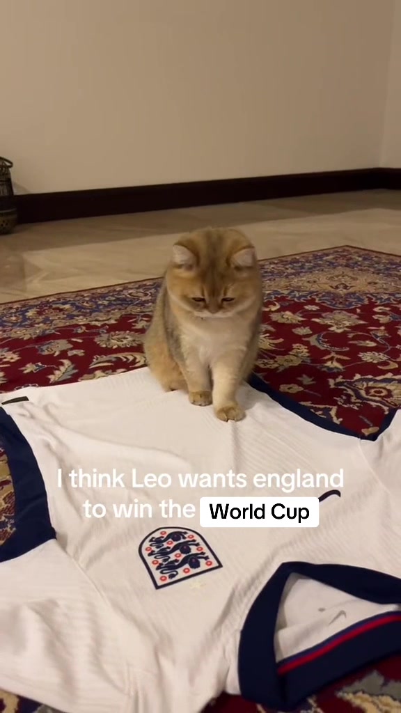 @Leo