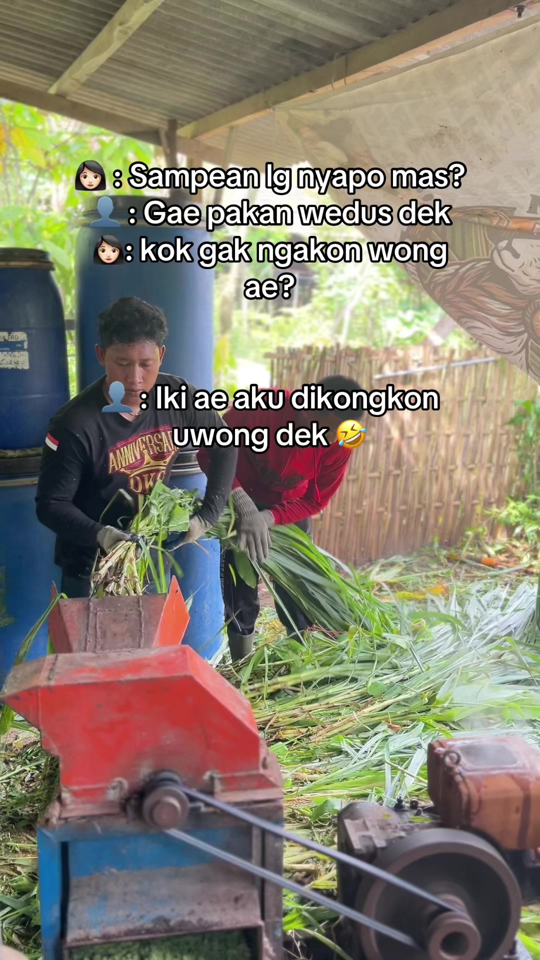 @DhanniaFarm