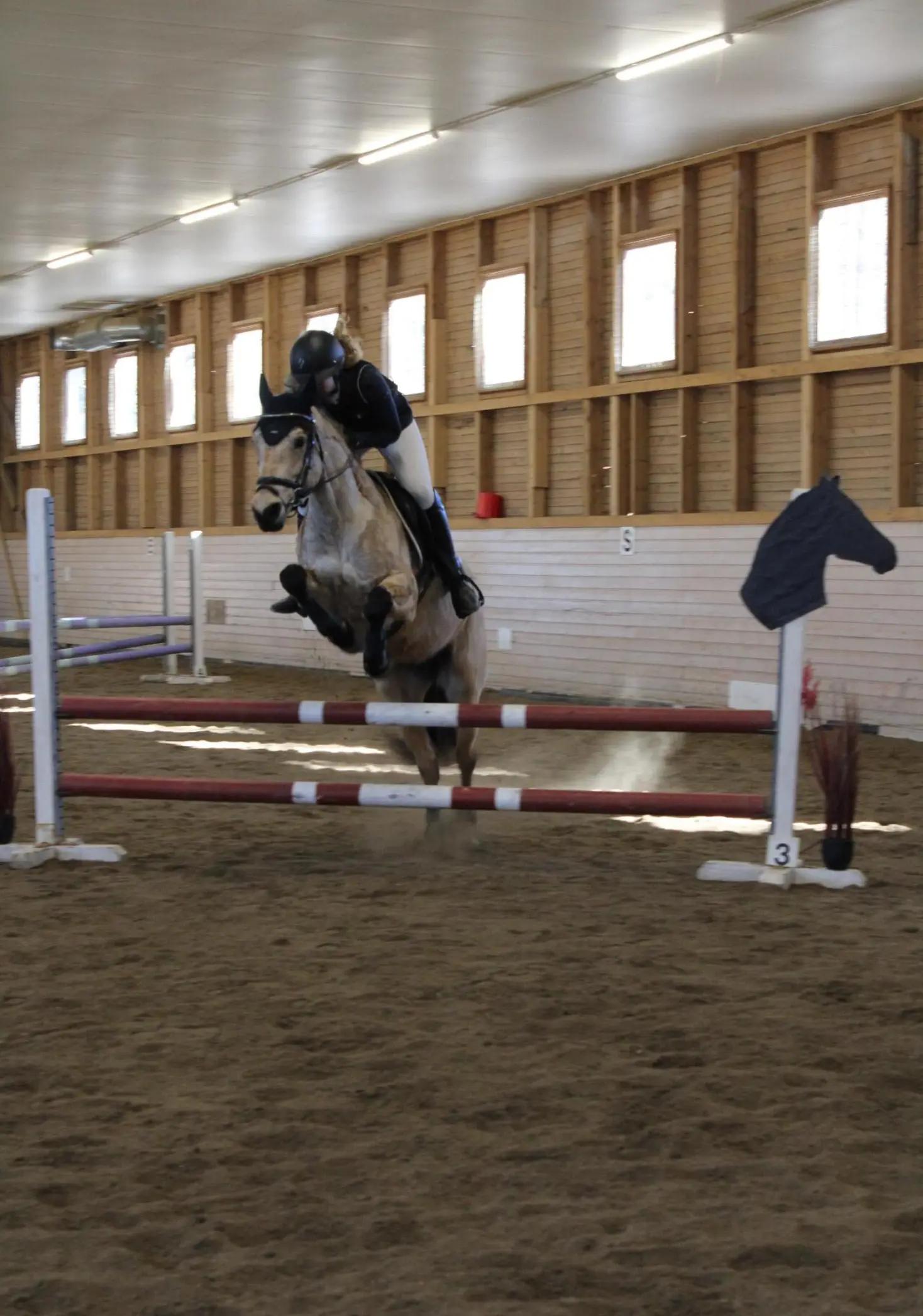 @Beach Horse Stable