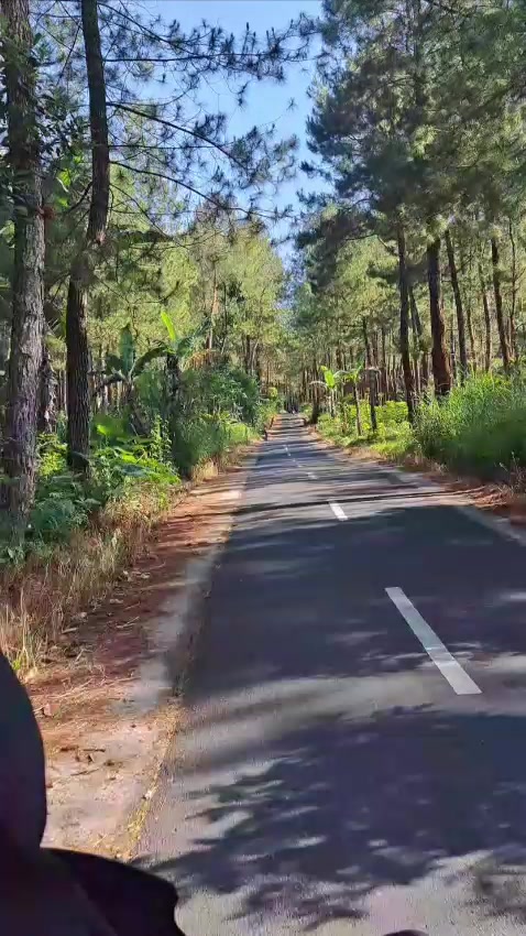 @taijoroyo