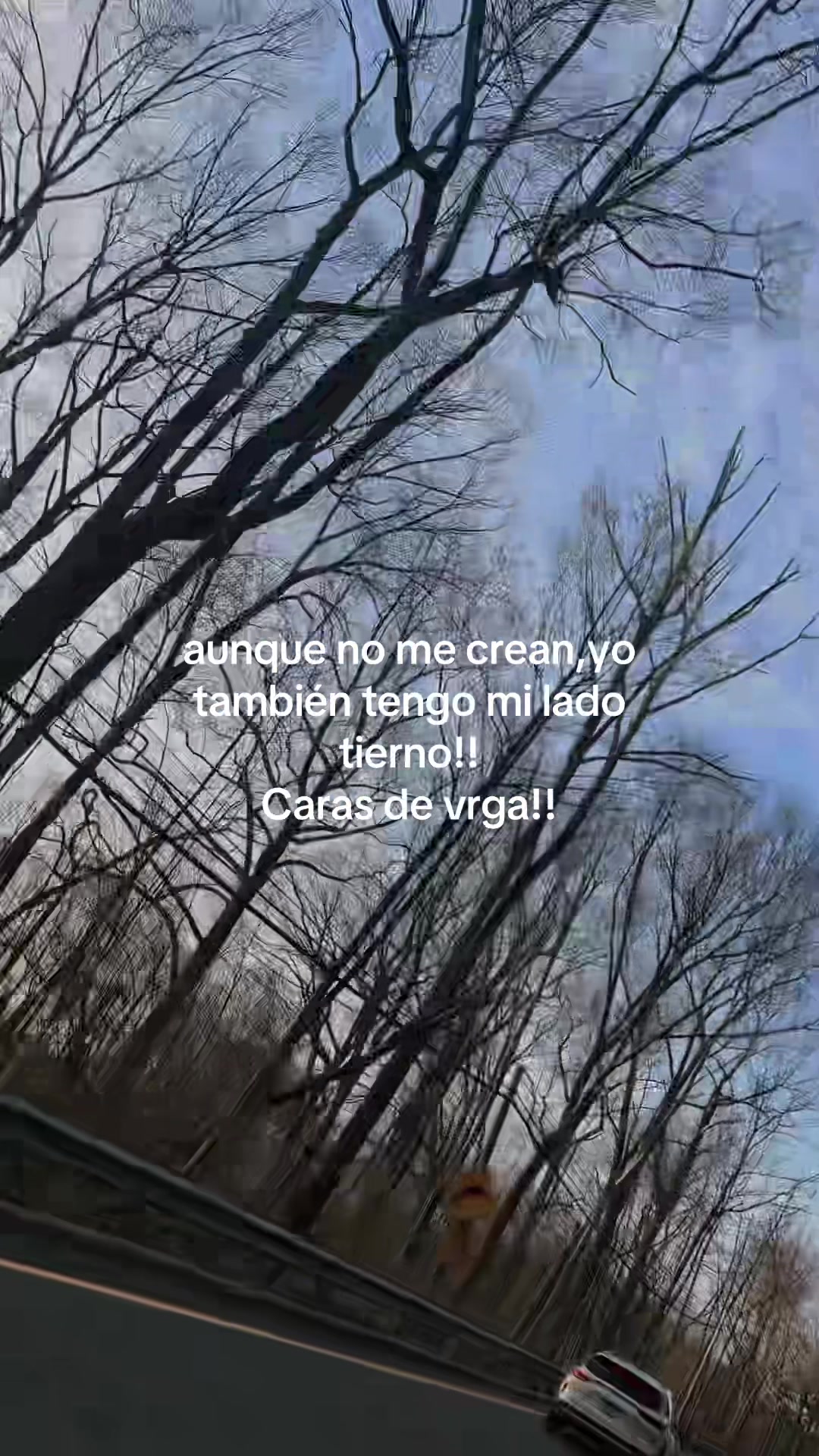 @🕷️ Castillo 🕸️🖤🍁