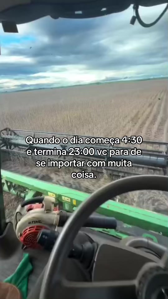 @jo&atilde;o sanches