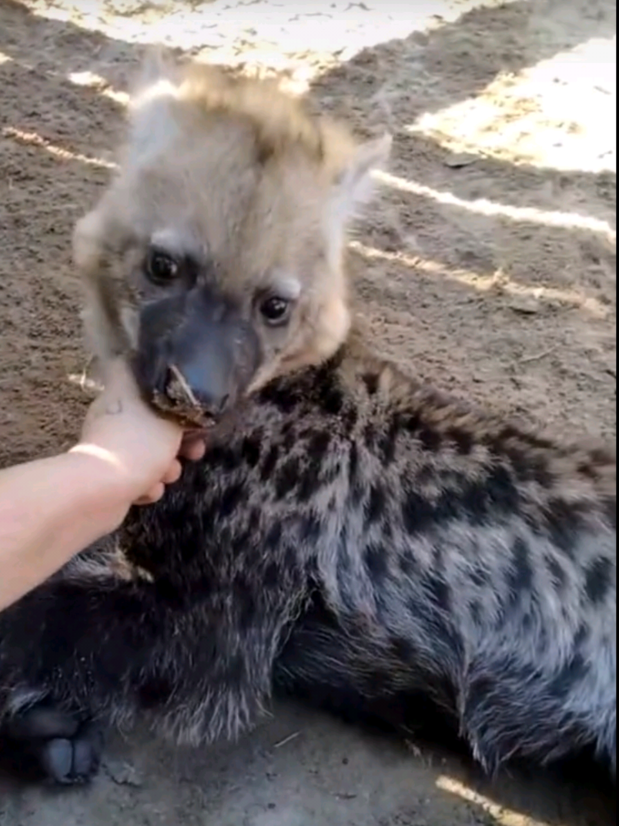 @۶ৎLittle Yeen! 🍮 ˙𐃷˙ (Yunna)