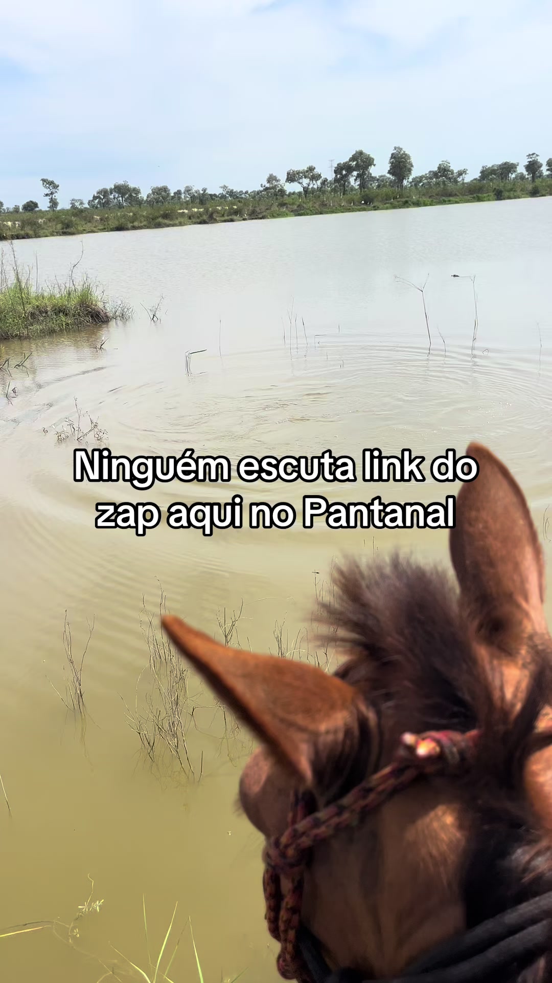 @Mogli 🦇