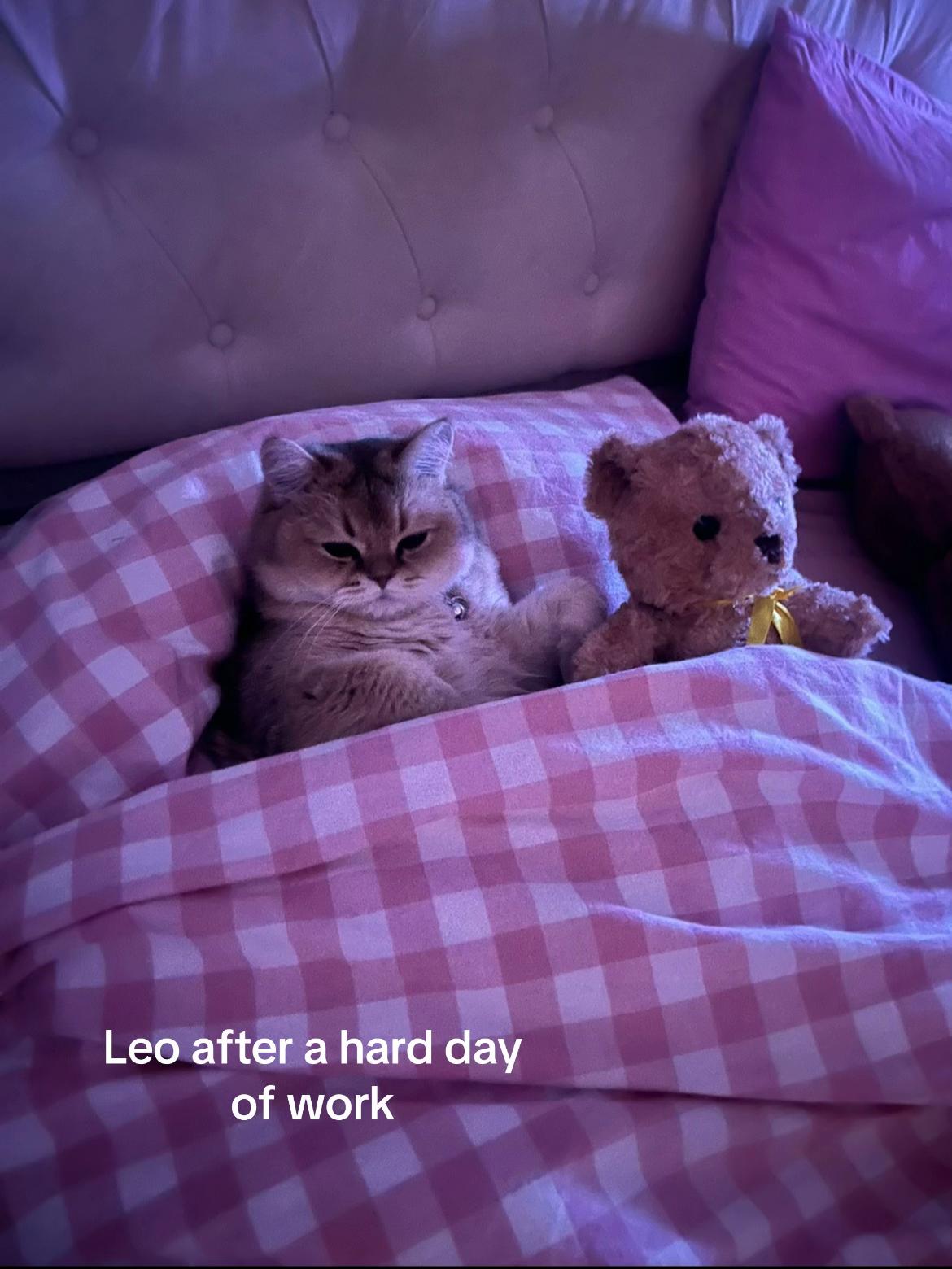 @Leo