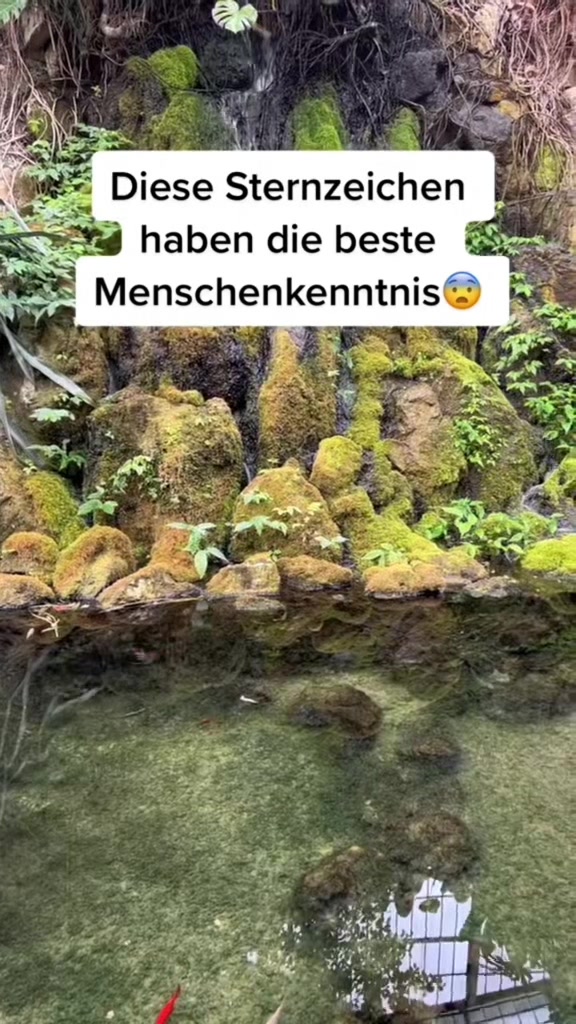 @de_sternzeichen