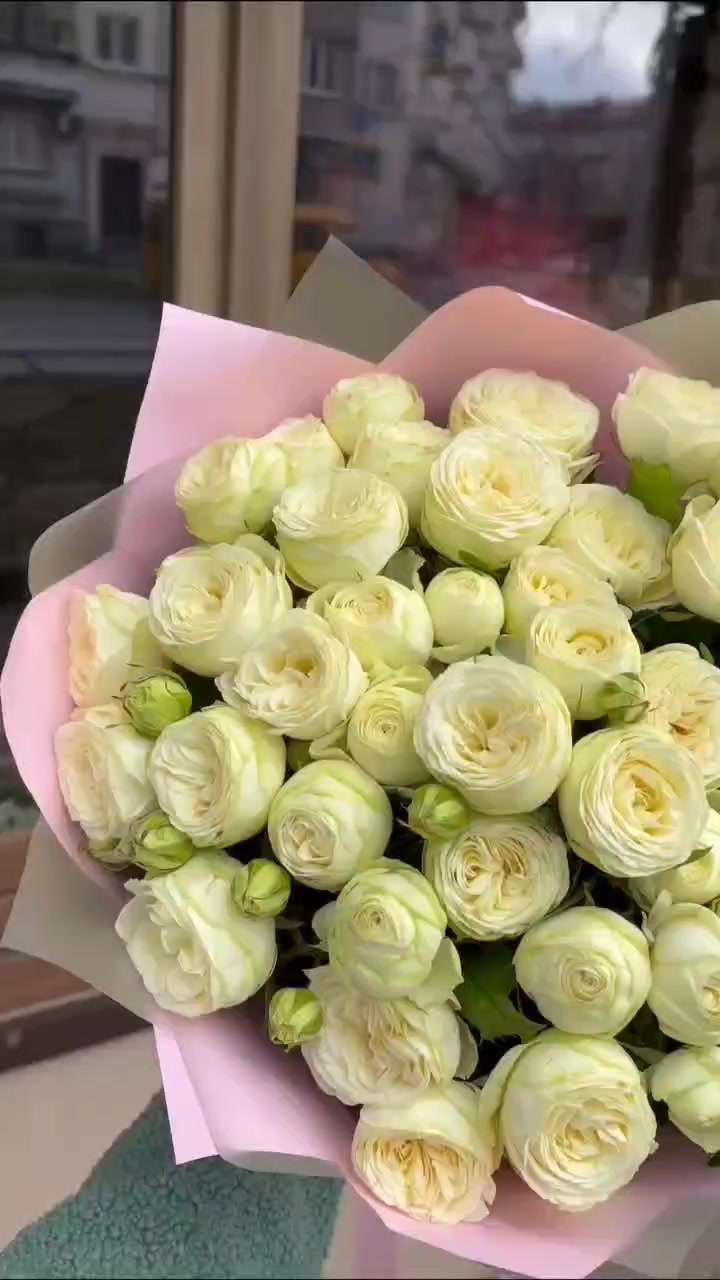 @Dominika